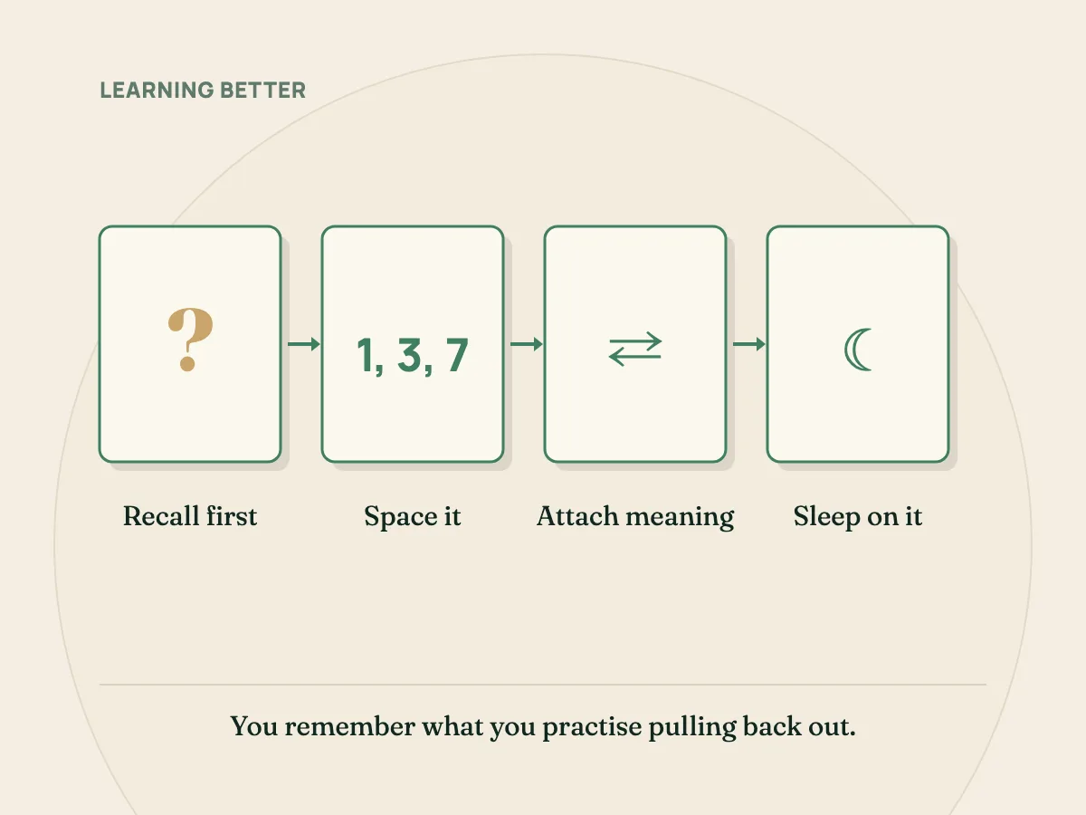 Four memory habits: recall before rereading, space the attempts, attach it to what you know, and protect your sleep.